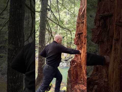 Kara-tay training complete. Now it’s time to avenge my father…