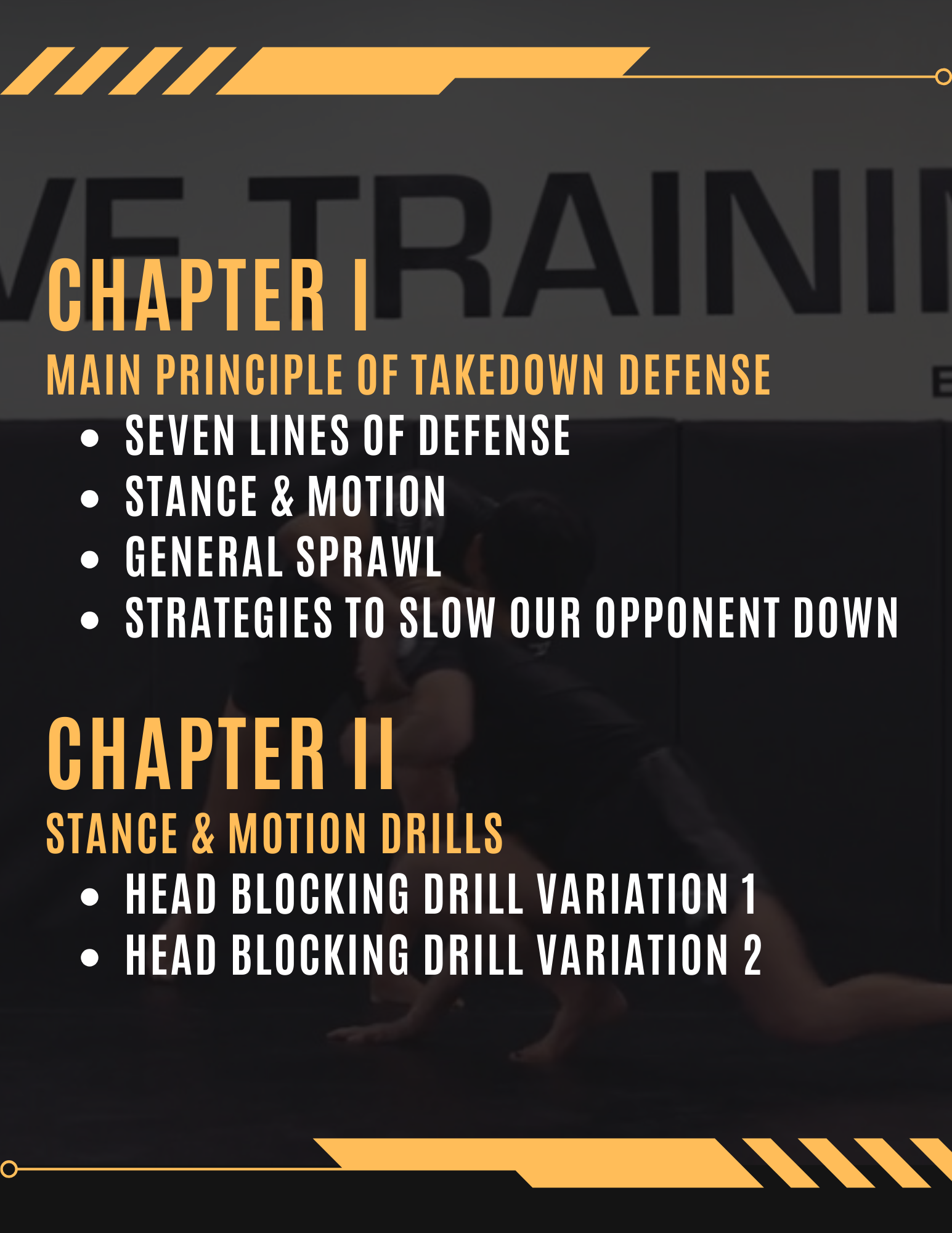 Wrestling Takedown Defense For Grappling by Alex Enriquez image 2