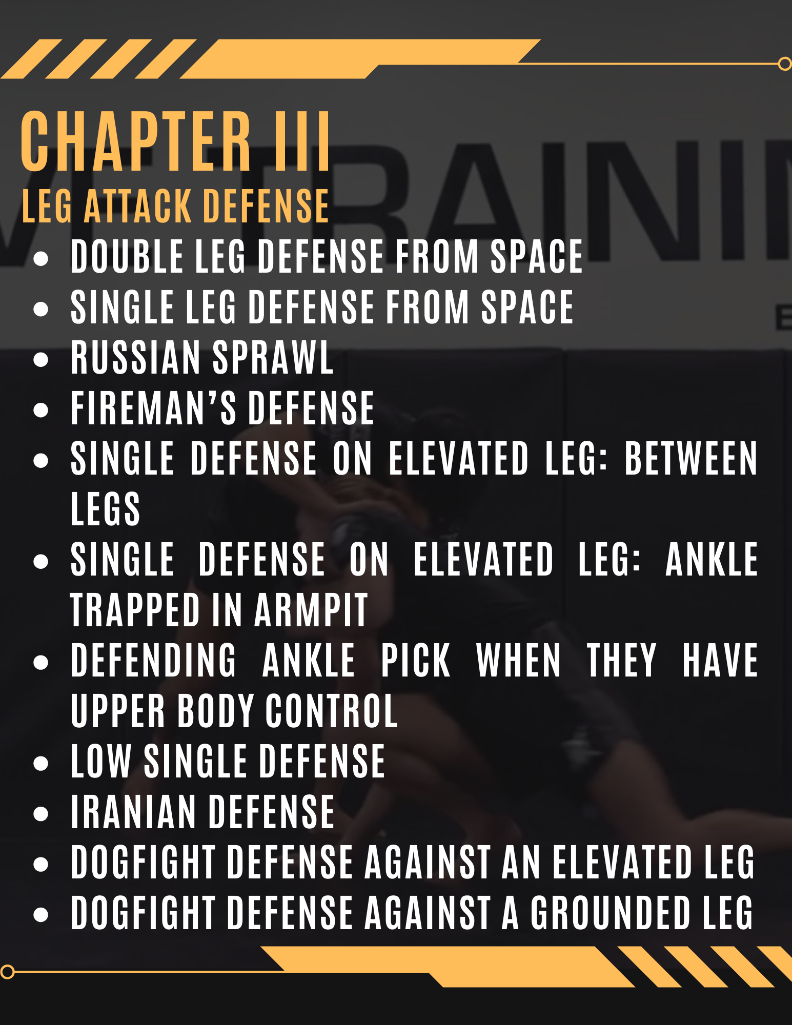 Wrestling Takedown Defense For Grappling by Alex Enriquez image 3