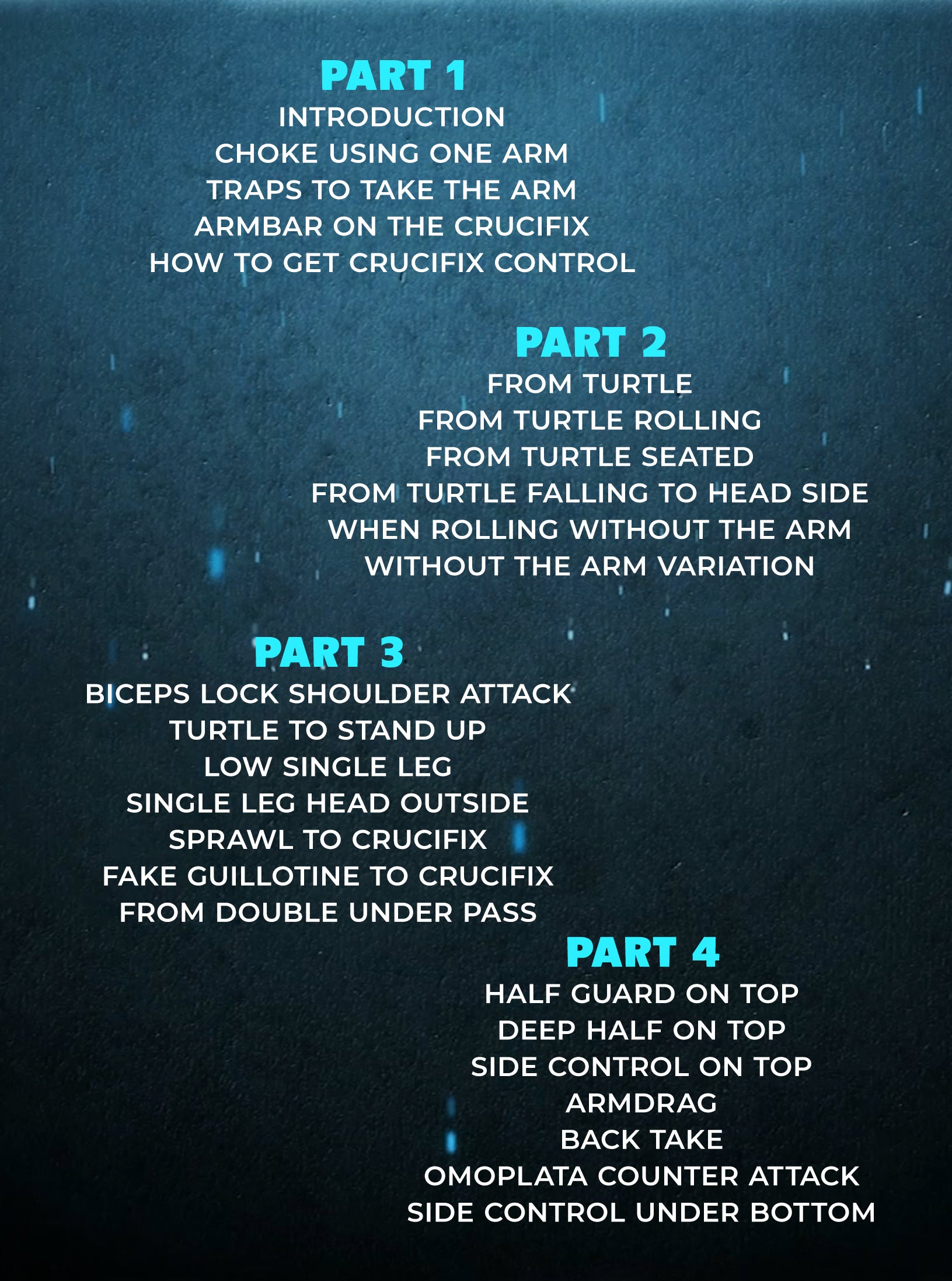 The No Gi Vieira Crucifix System by Alexandre Vieira image 2