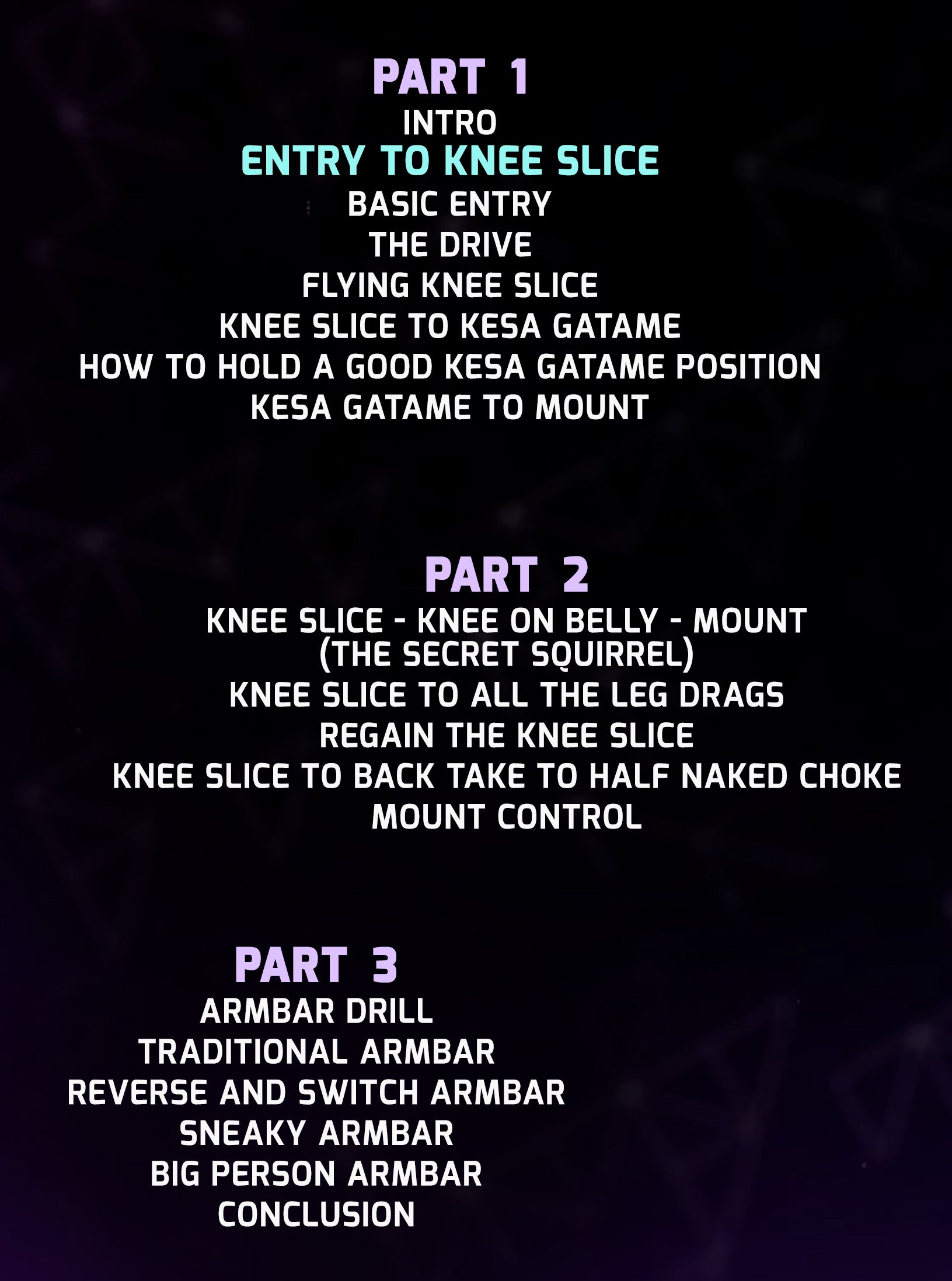 Dynamic Knee Slice Passing No Gi by Amy Campo image 2