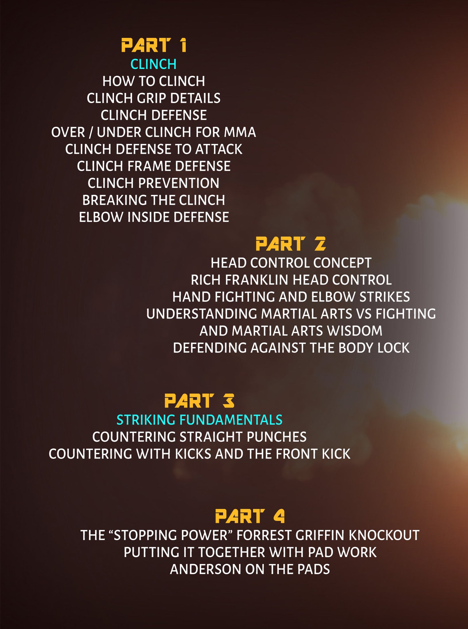 The Comprehensive Strikers Guide by Anderson Silva image 2