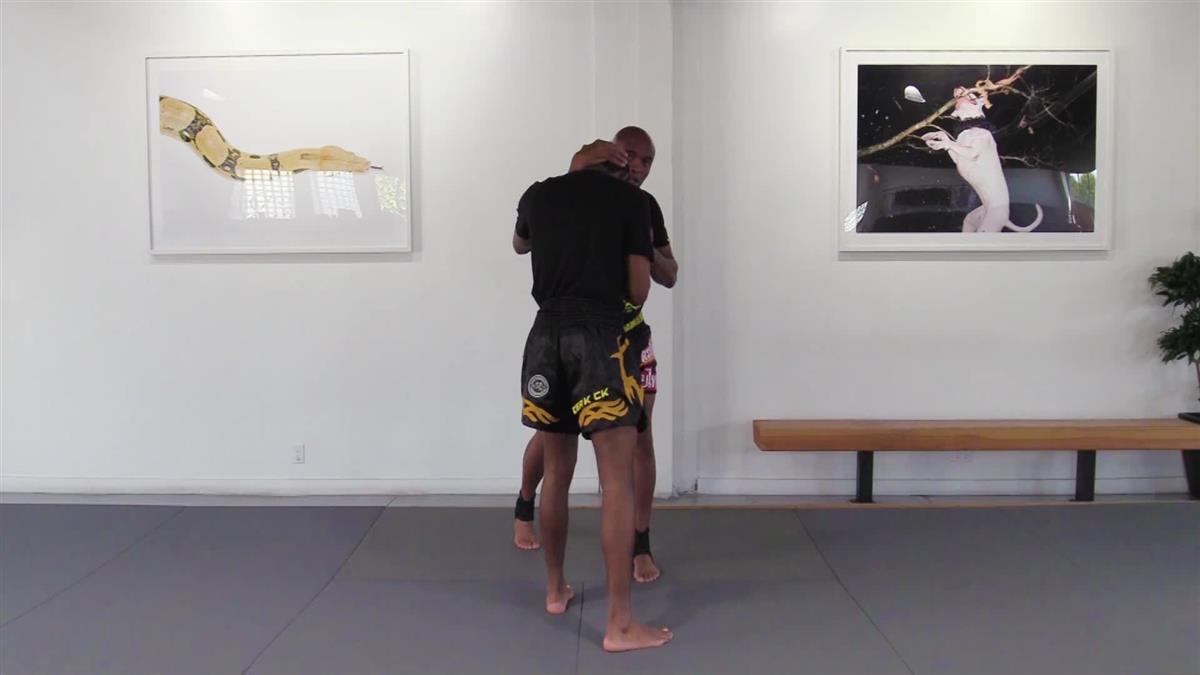 The Comprehensive Strikers Guide by Anderson Silva image 4