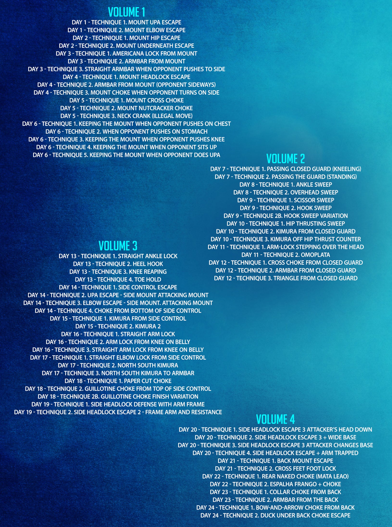 The Basics of Brazilian Jiu Jitsu by Andre Galvao image 2