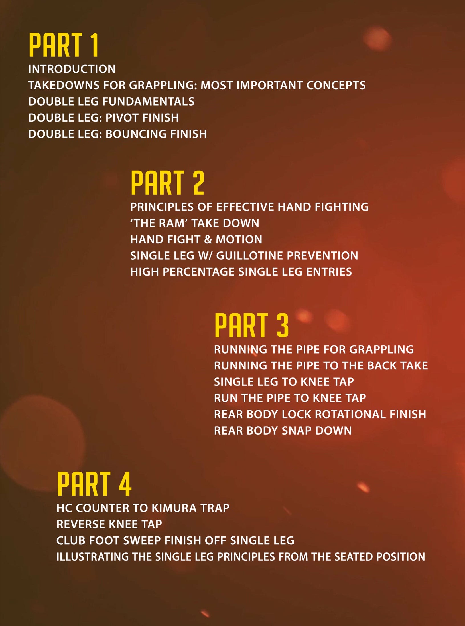 Takedown Dominance by Andre Galvao image 2