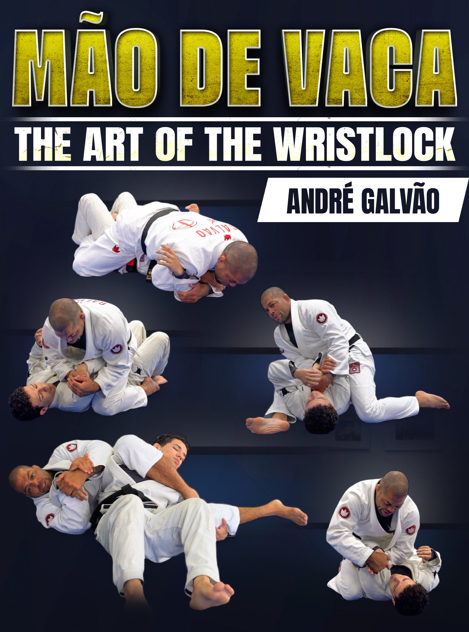 Mao De Vaca: The Art of The Wrist Lock by Andre Galvao image 1