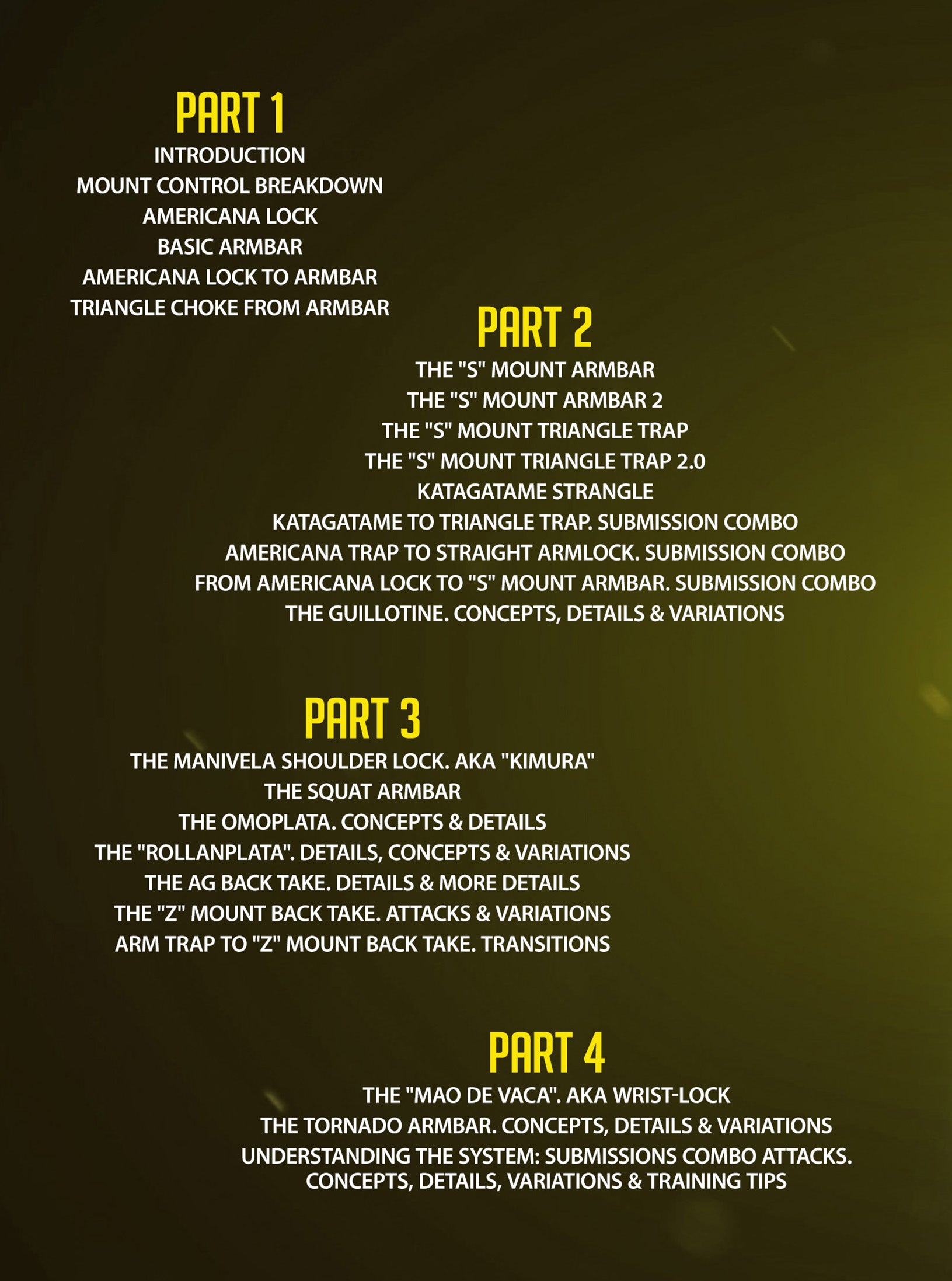 Winning From Full Mount by Andre Galvao image 2