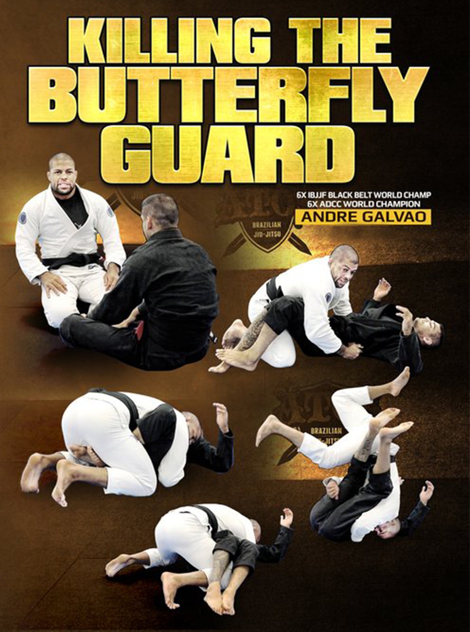 Killing The Butterfly Guard by Andre Galvao