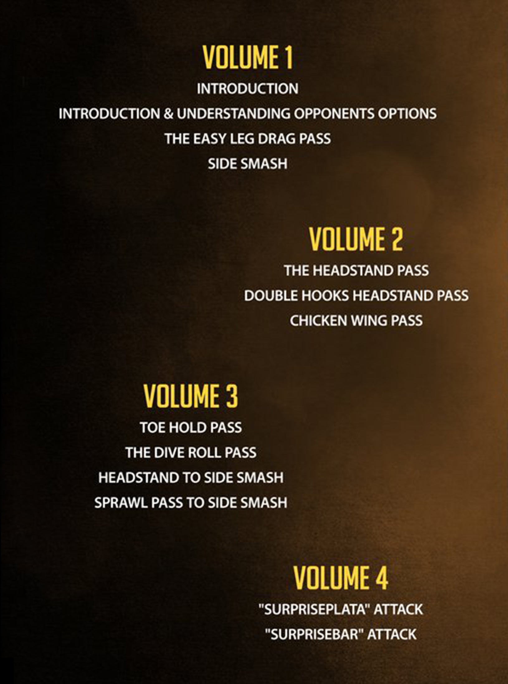 Killing The Butterfly Guard by Andre Galvao image 2