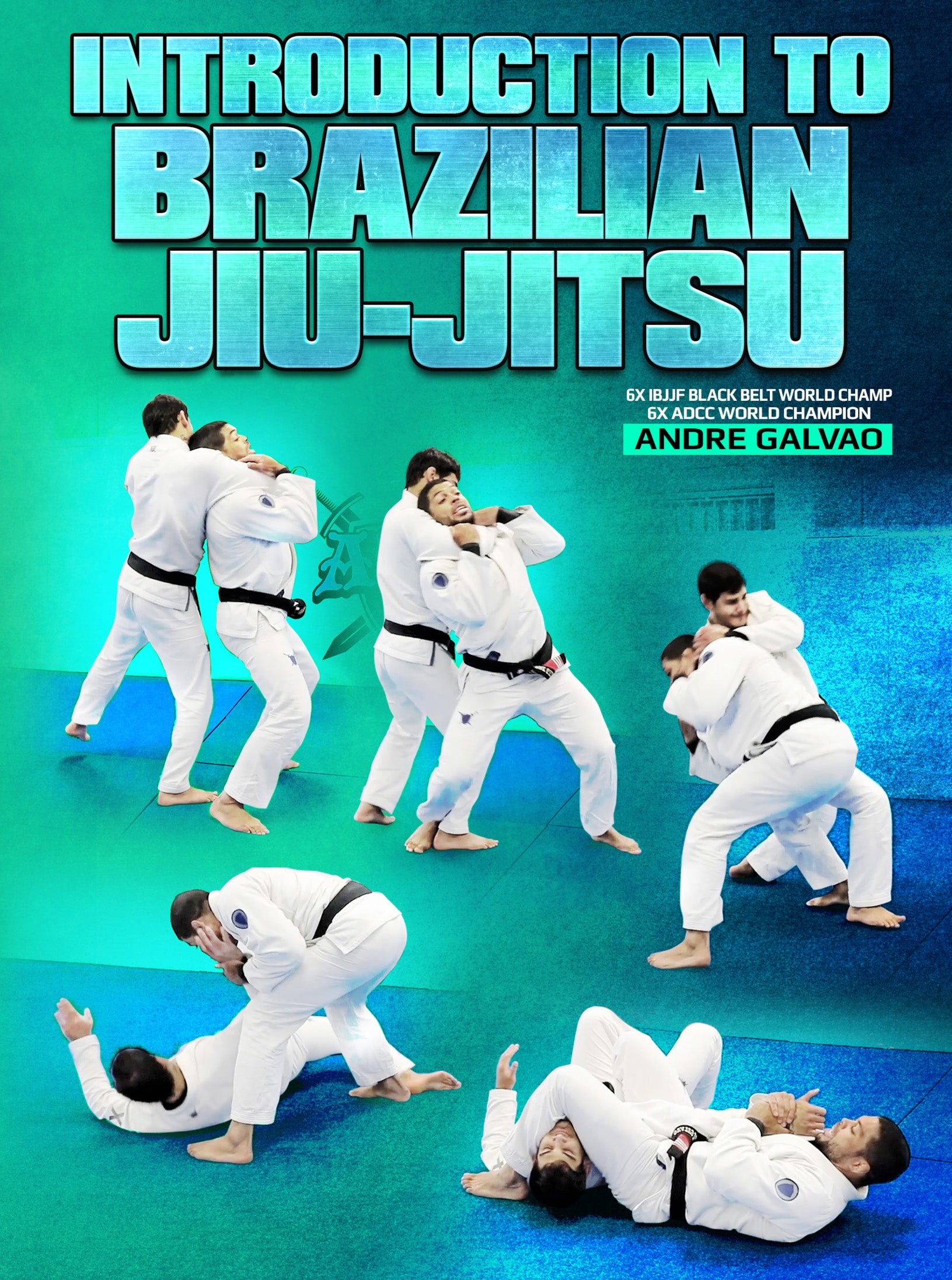 Introduction to Brazilian Jiu Jitsu by Andre Galvao image 1