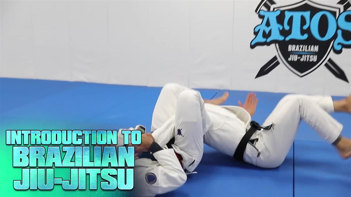 Introduction to Brazilian Jiu Jitsu by Andre Galvao image 3