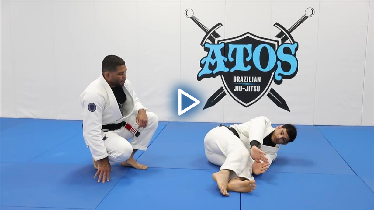 Introduction to Brazilian Jiu Jitsu by Andre Galvao image 5