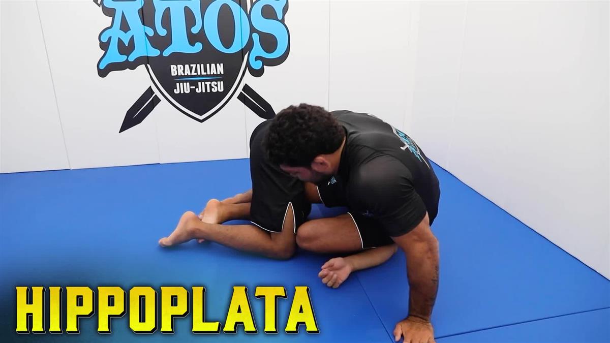 Hippoplata by Andre Galvao image 3