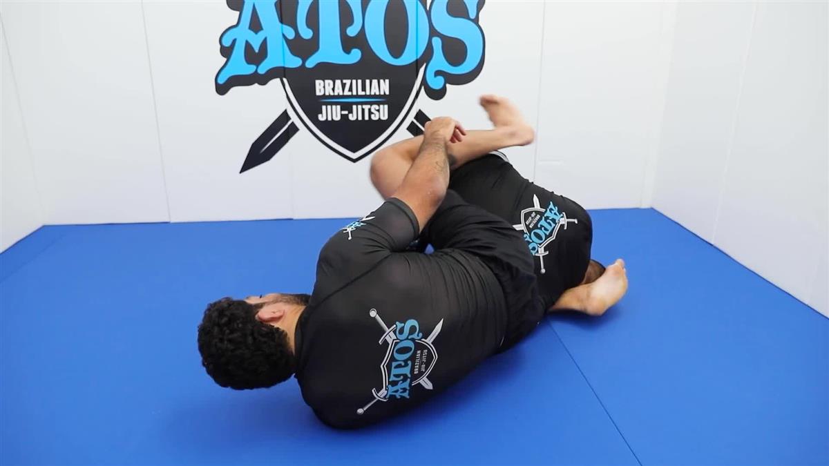 Hippoplata by Andre Galvao image 5