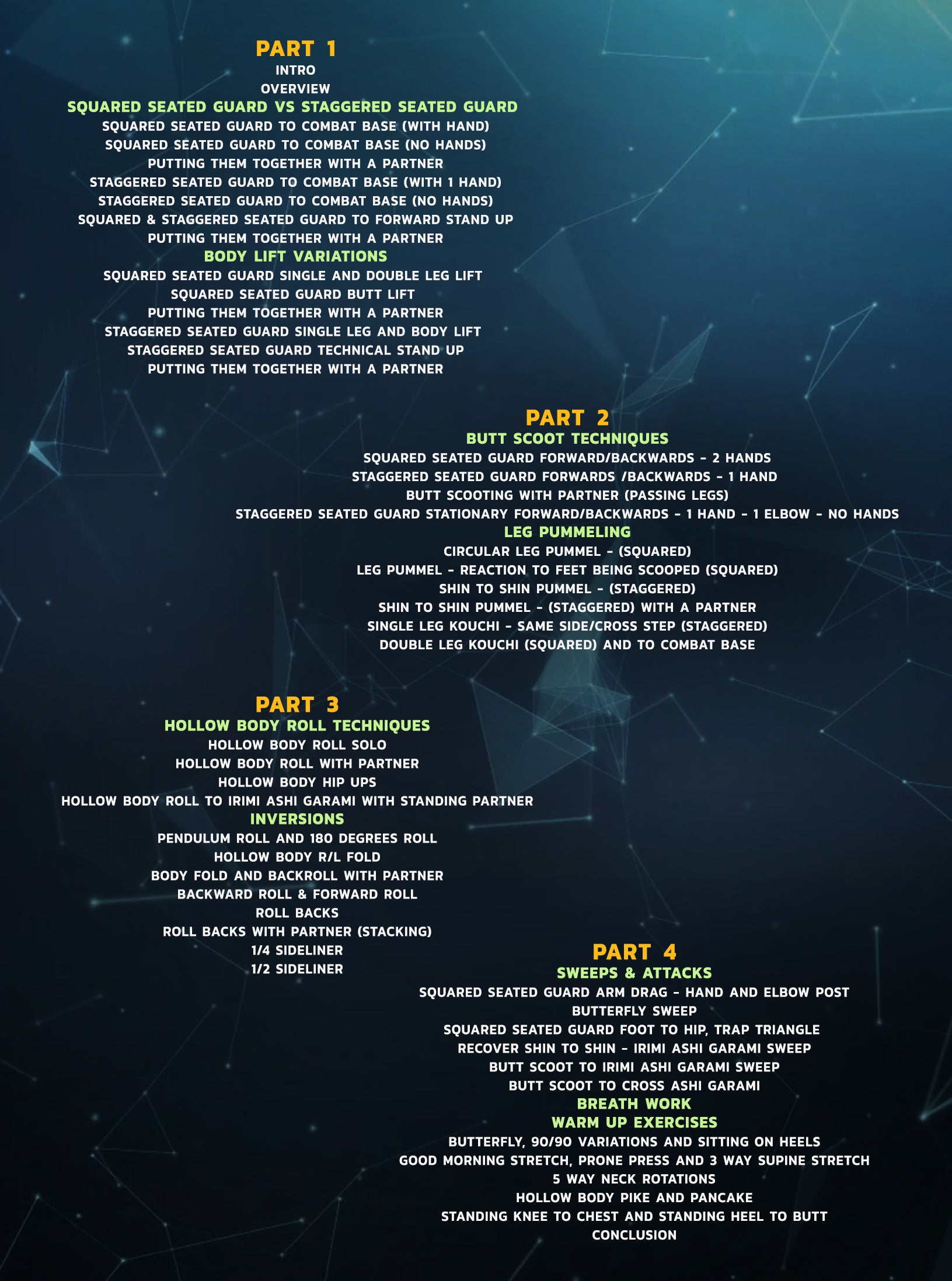 Jiu Jitsu Flow by Ari Goldman image 2