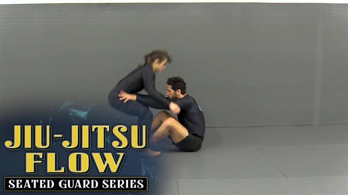 Jiu Jitsu Flow by Ari Goldman image 3