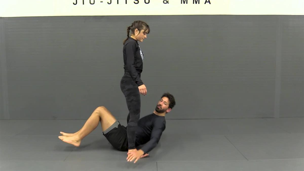 Jiu Jitsu Flow by Ari Goldman image 4