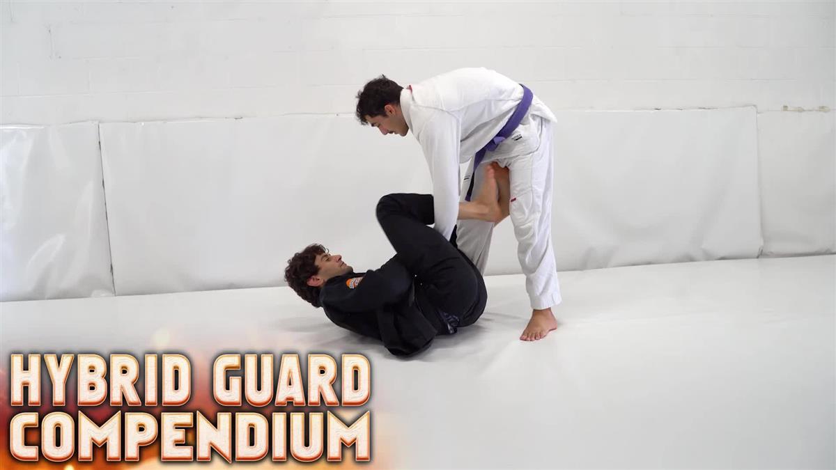 Hybrid Guard Compendium by Ariel Tabak image 3