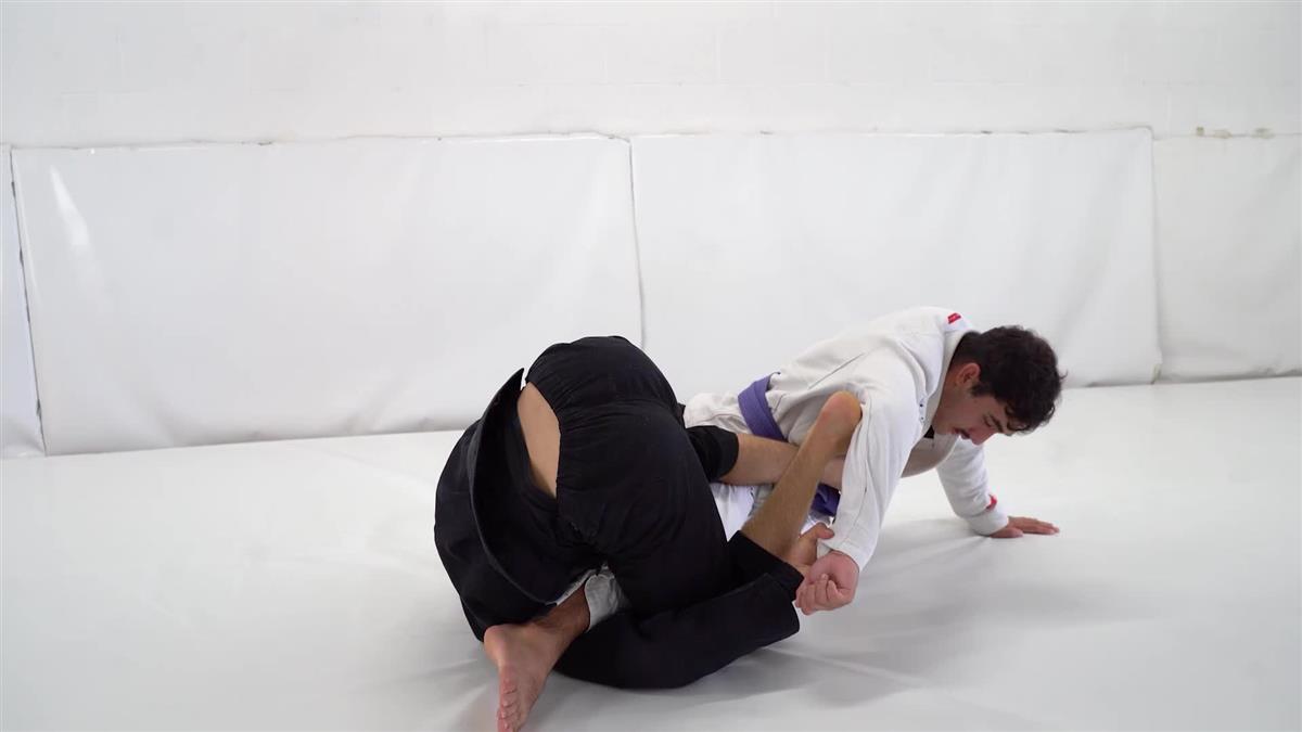 Hybrid Guard Compendium by Ariel Tabak image 6