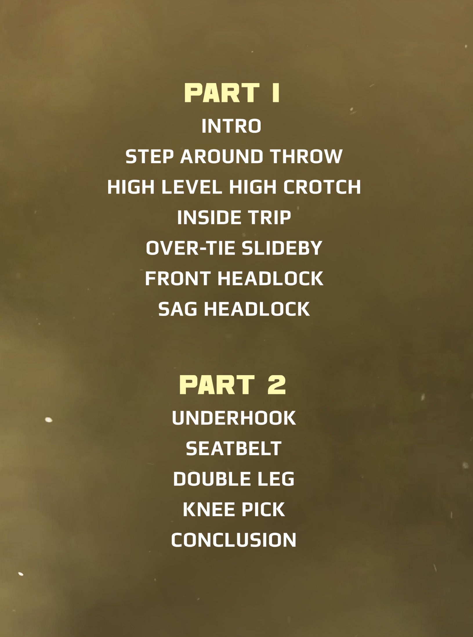 MMA Takedown Mastery by Ben Askren image 2