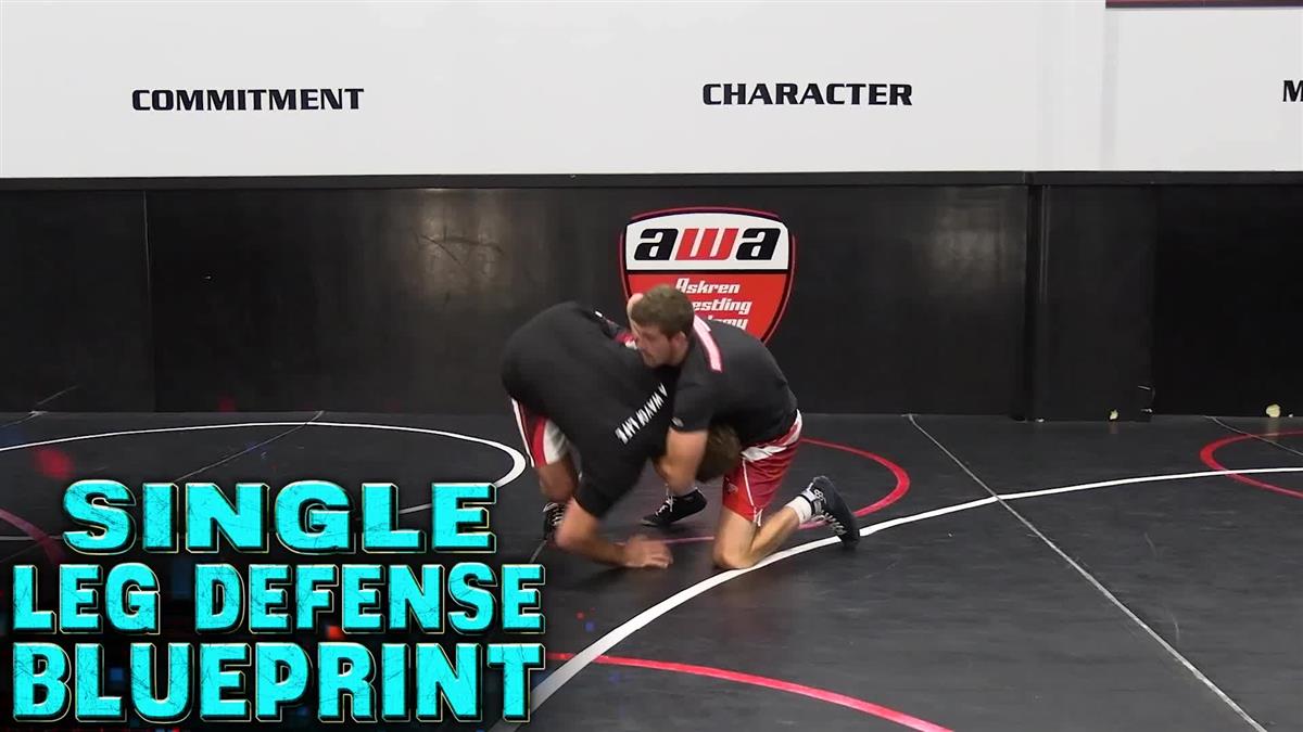 Single Leg Defense Blueprint by Ben Askren image 3