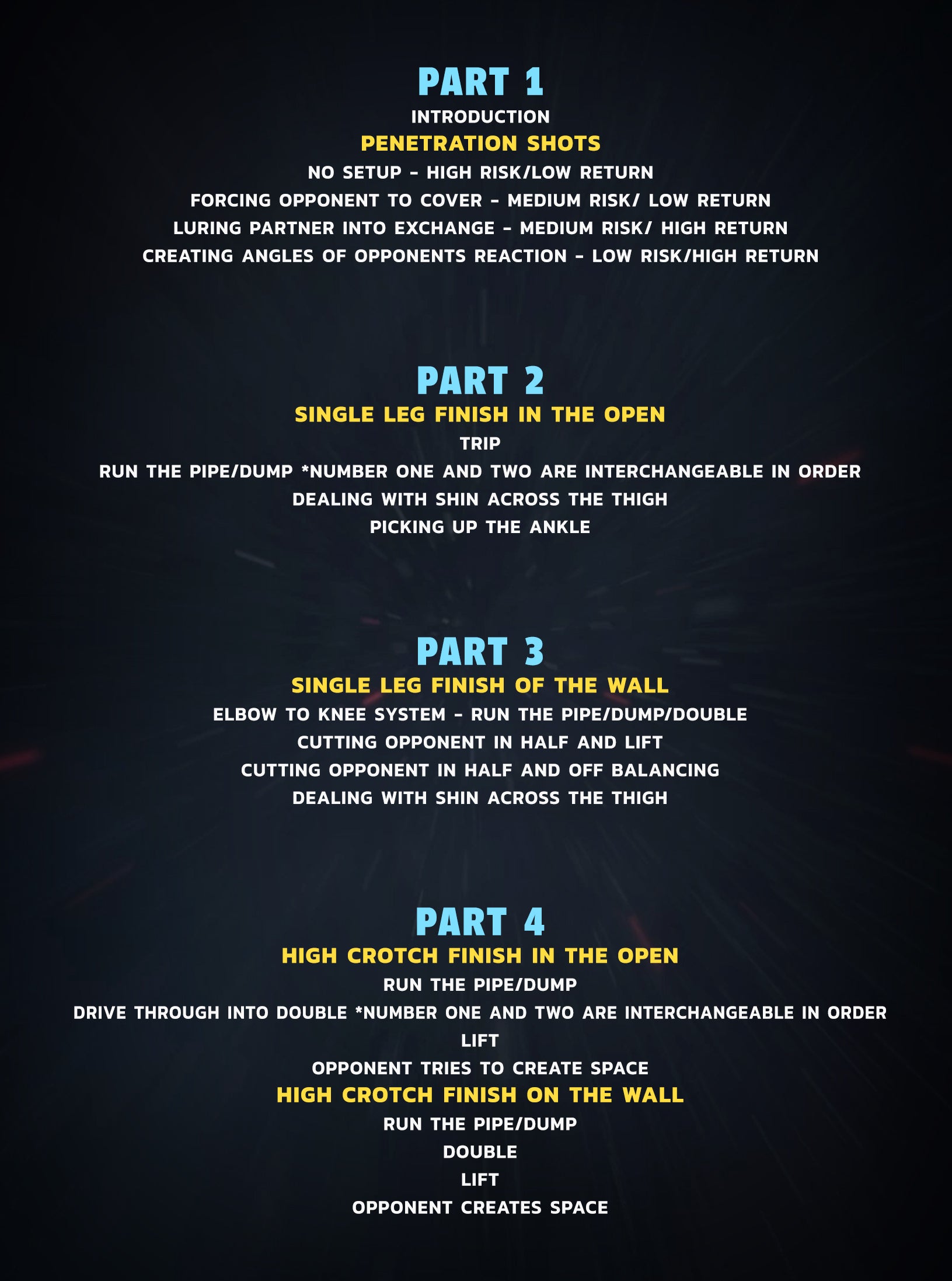 Single Legs For MMA by Beneil Dariush image 2