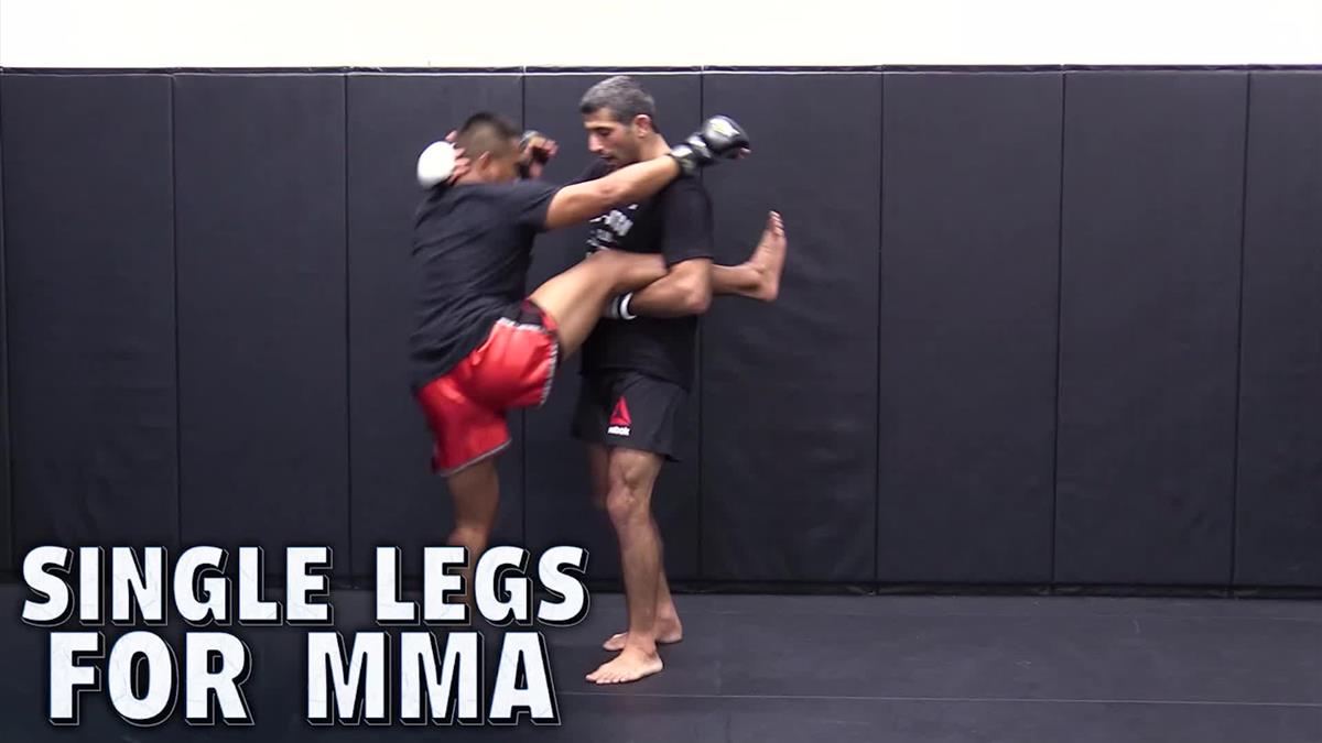Single Legs For MMA by Beneil Dariush image 3