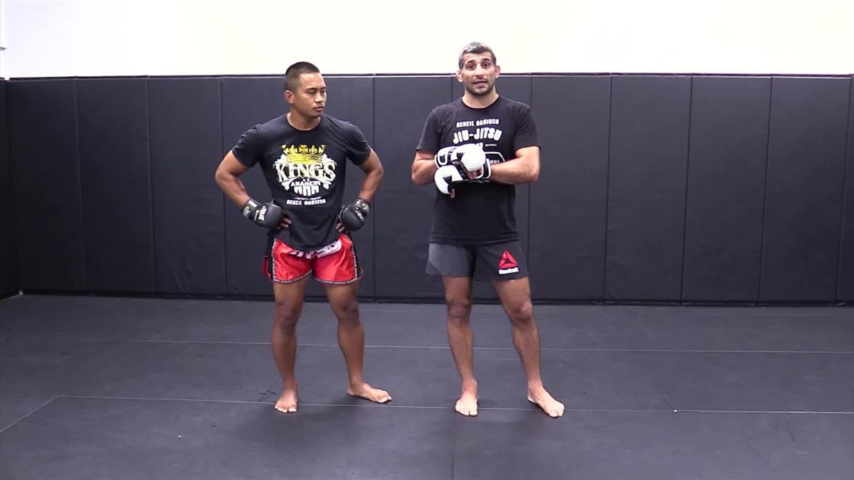 Single Legs For MMA by Beneil Dariush image 5