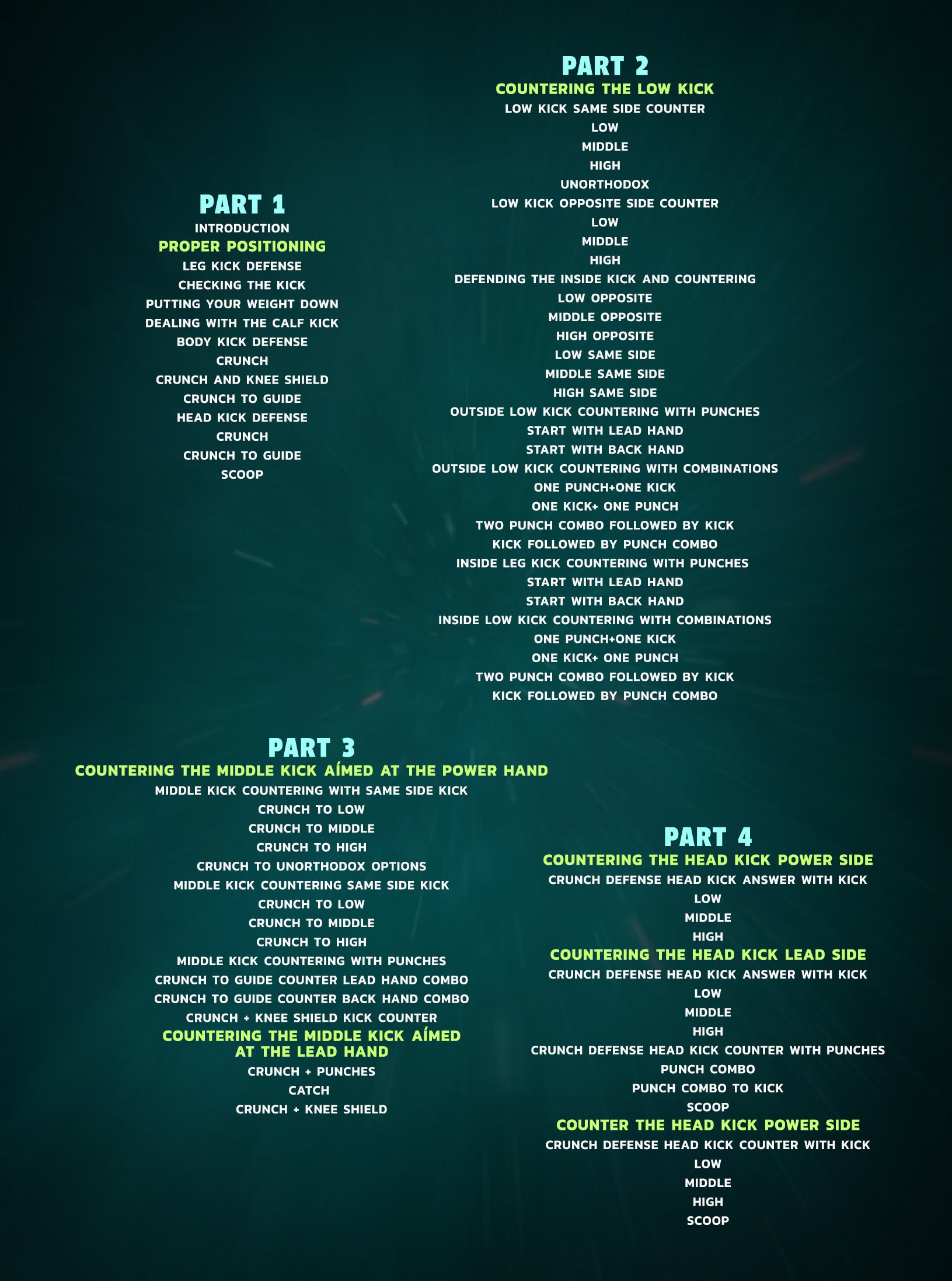 Defending & Countering The Kick by Beneil Dariush image 2