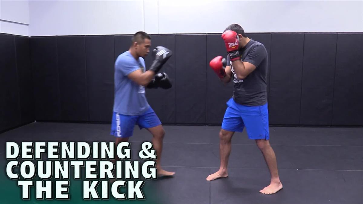 Defending & Countering The Kick by Beneil Dariush image 3