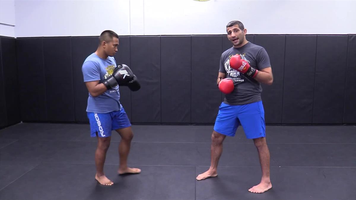 Defending & Countering The Kick by Beneil Dariush image 4