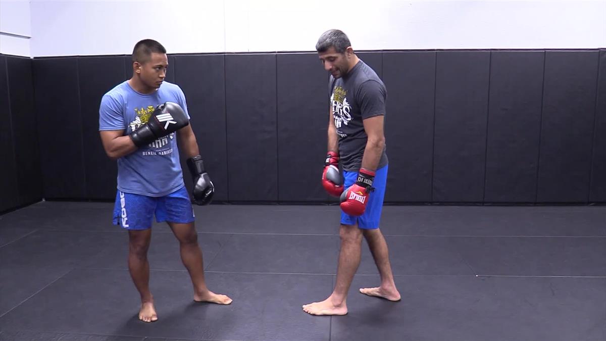 Defending & Countering The Kick by Beneil Dariush image 5