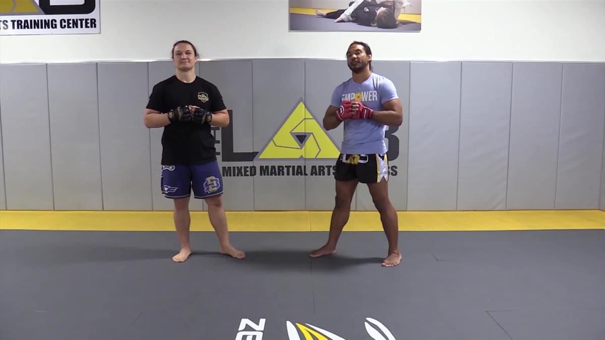 Power Kicking by Benson Henderson image 5