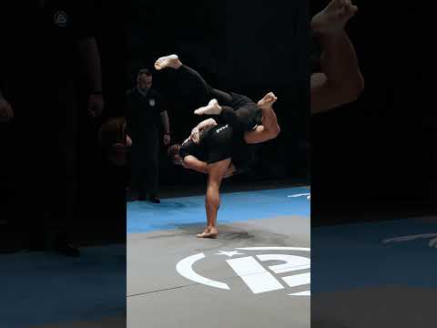 the forever ippon...