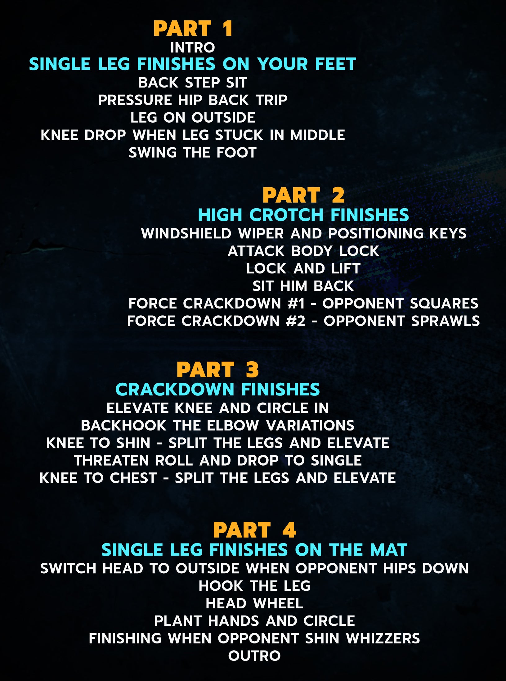 Takedown Mastery by Aaron Brooks image 2