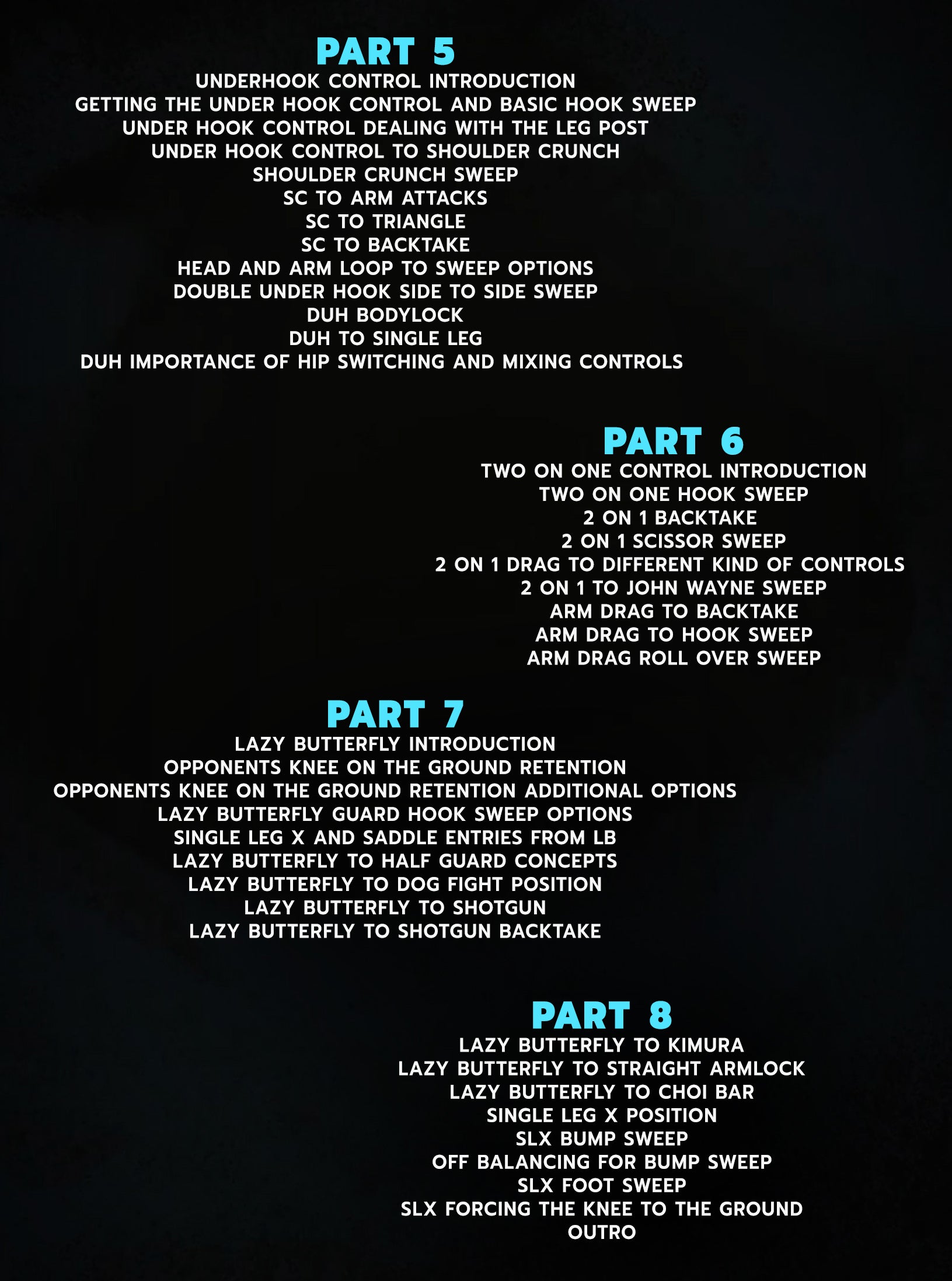 Butterfly Guard Re-discovered: No Gi Butterfly Guard Encyclopedia by Adam Wardzinski image 4