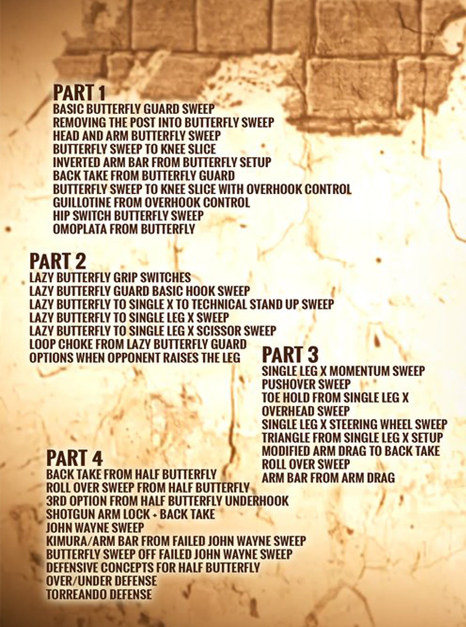 Butterfly Guard Re-Discovered by Adam Wardzinski image 2