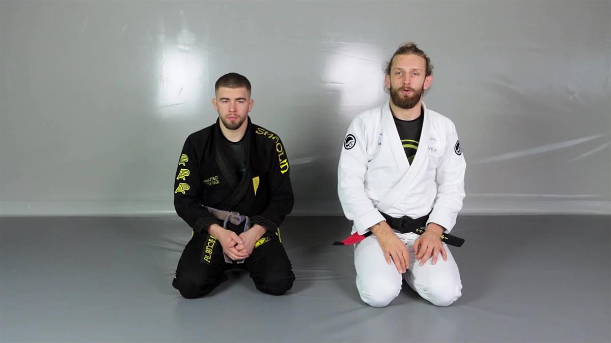 Polish Power Inside Passing by Adam Wardzinski image 4