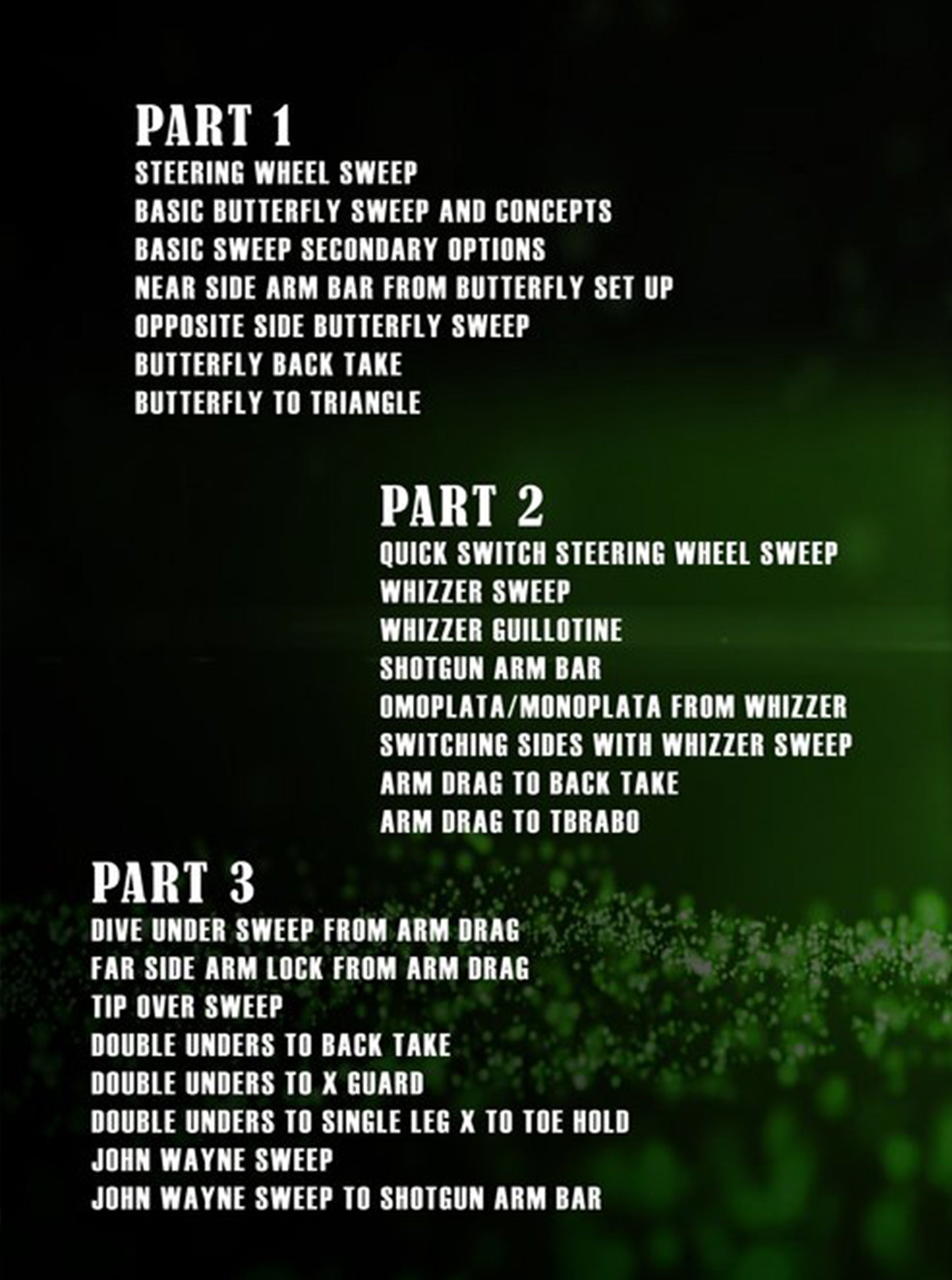 The No Gi Butterfly Guard Rediscovered by Adam Wardzinski image 2