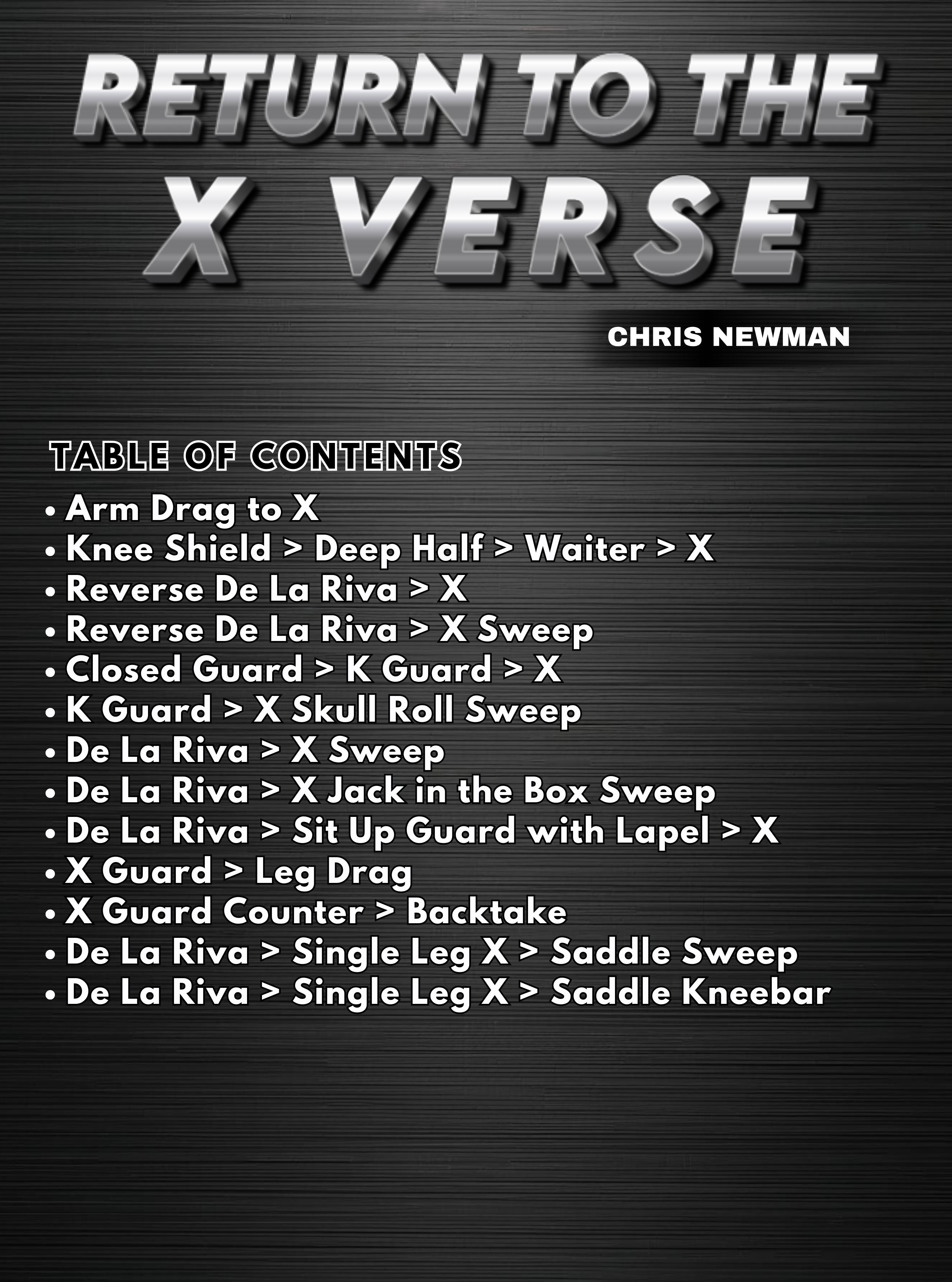 Return To The X Verse by Chris Newman image 2