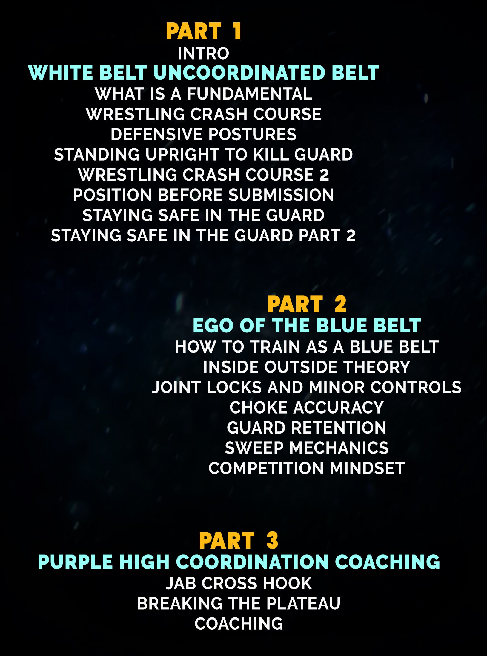 How To Learn Jiu Jitsu by Chris Paines image 2