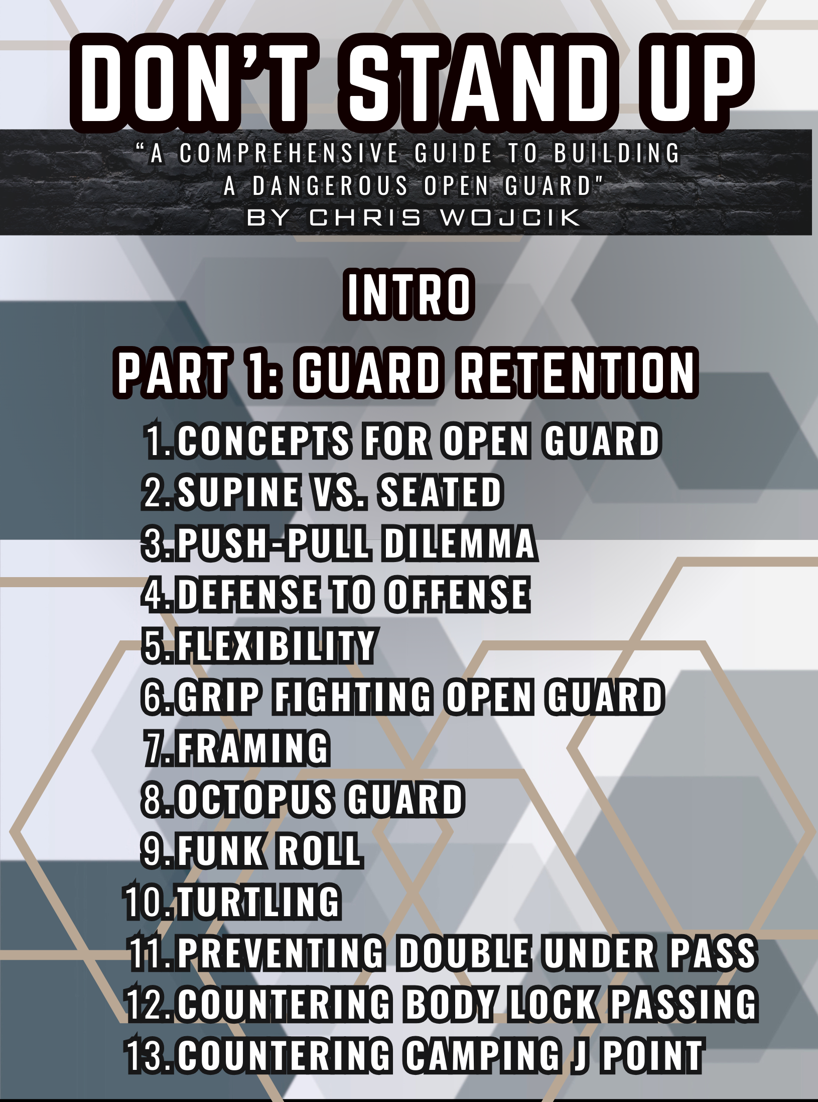 Don't Stand Up by Chris Wojcik image 2