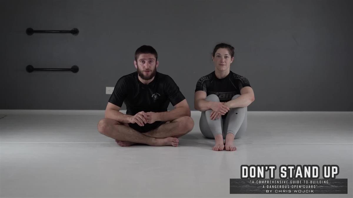 Don't Stand Up by Chris Wojcik image 3