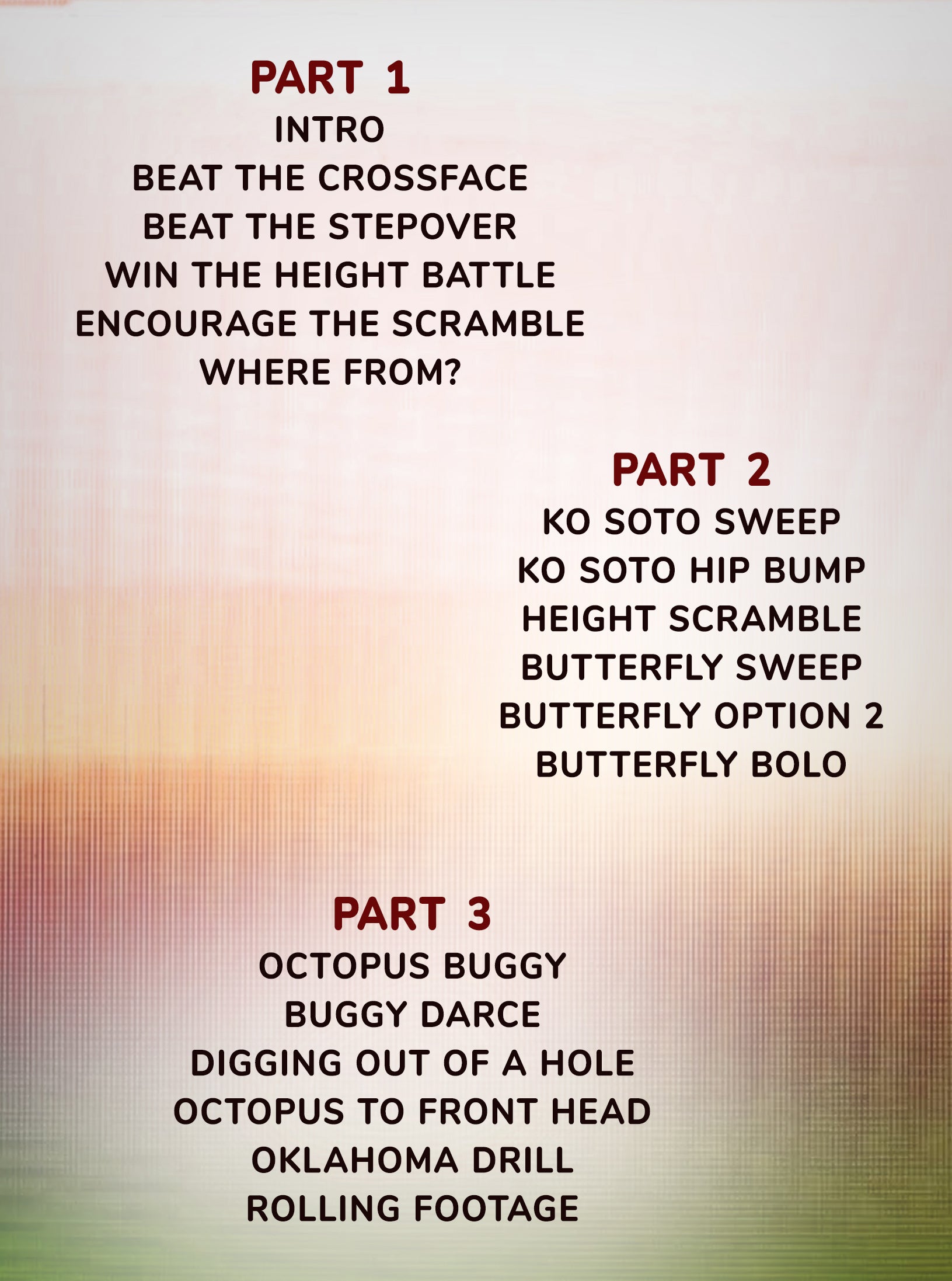 Craig Jones Mini Product The Reach Around AKA Octopus Guard by Craig Jones image 2