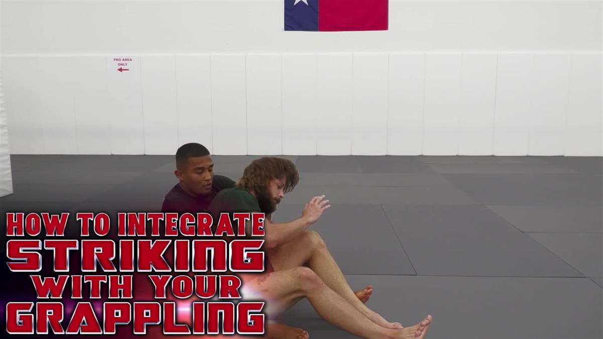 How to Integrate Striking With Your Grappling by Damien Anderson image 3
