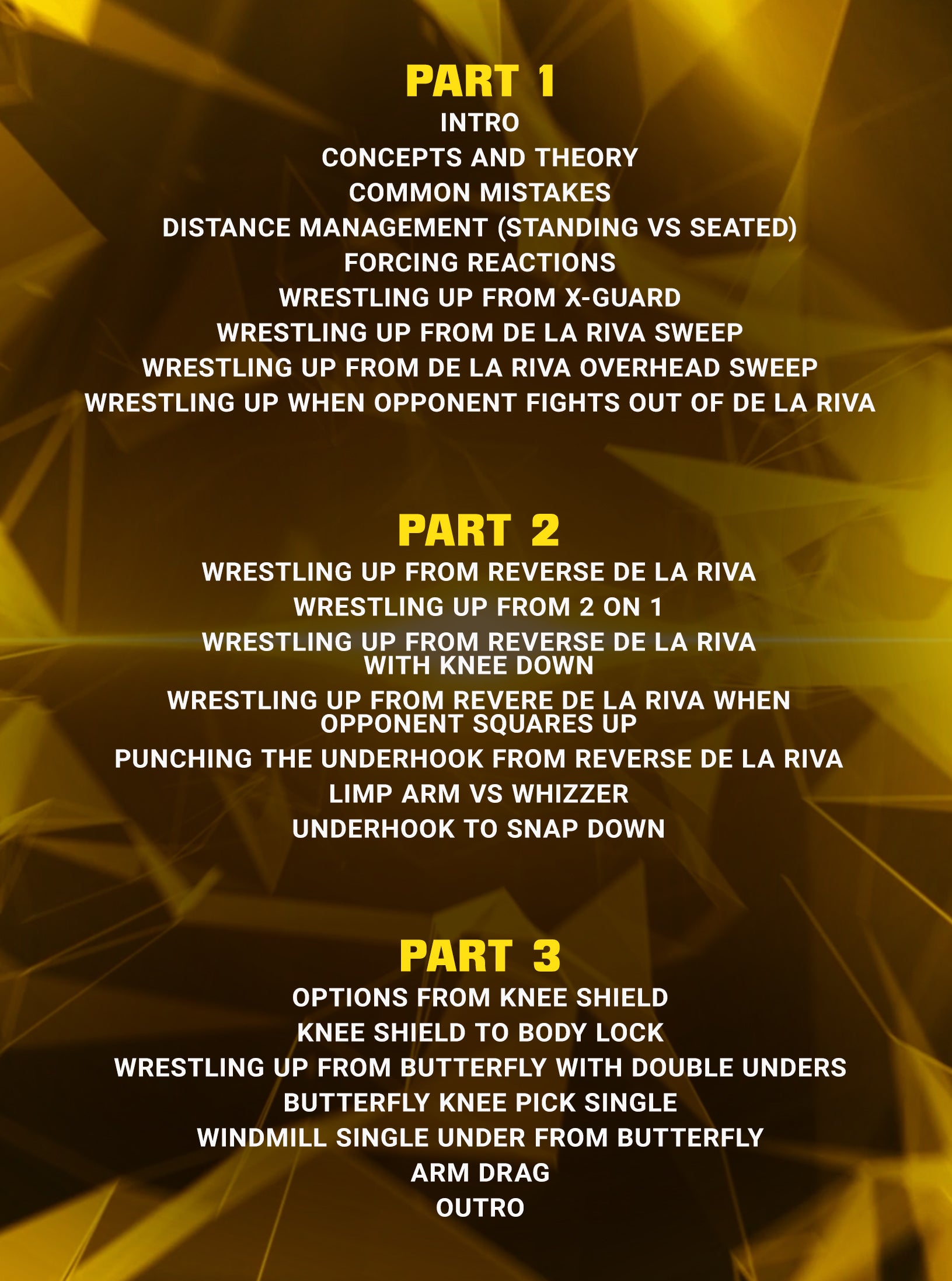 Wrestling Up From Guard by Dante Leon image 2