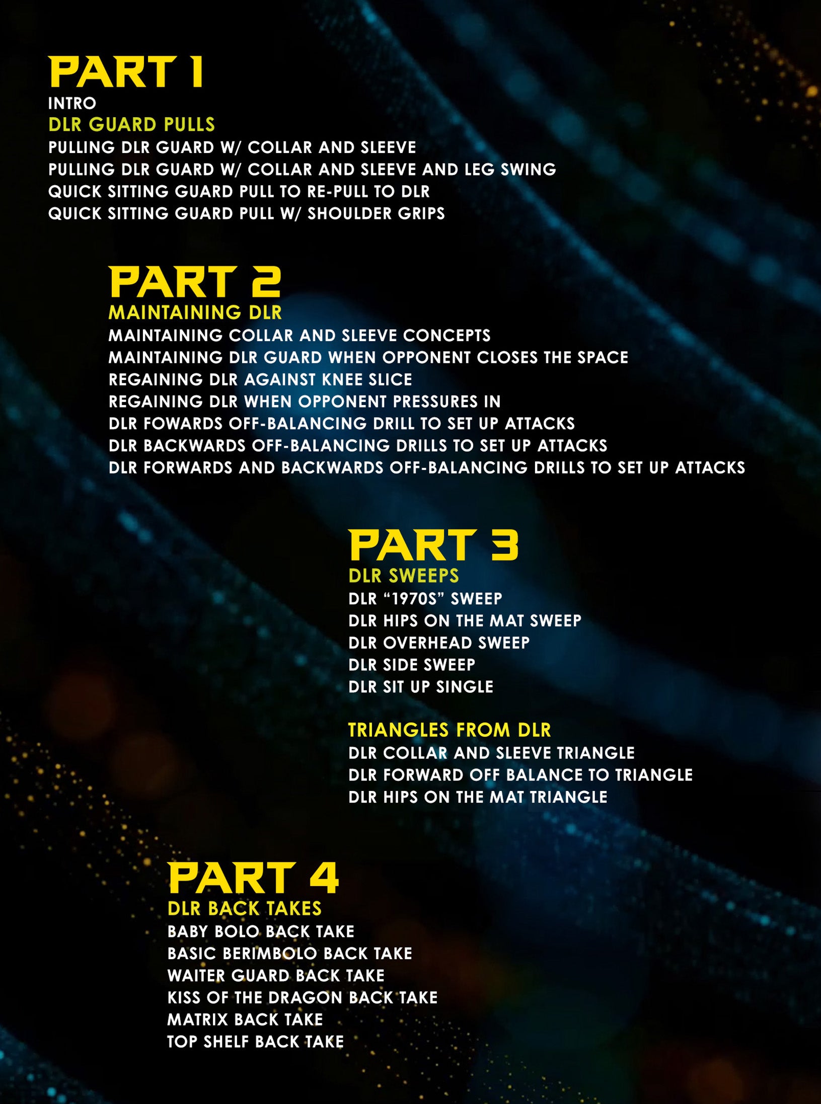 De La Riva Fundamentals by Danny Stolfi image 2