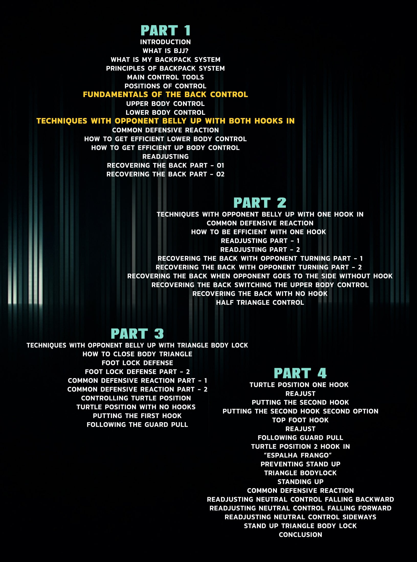 The Maia Backpack System: Controlling The Back by Demian Maia image 2