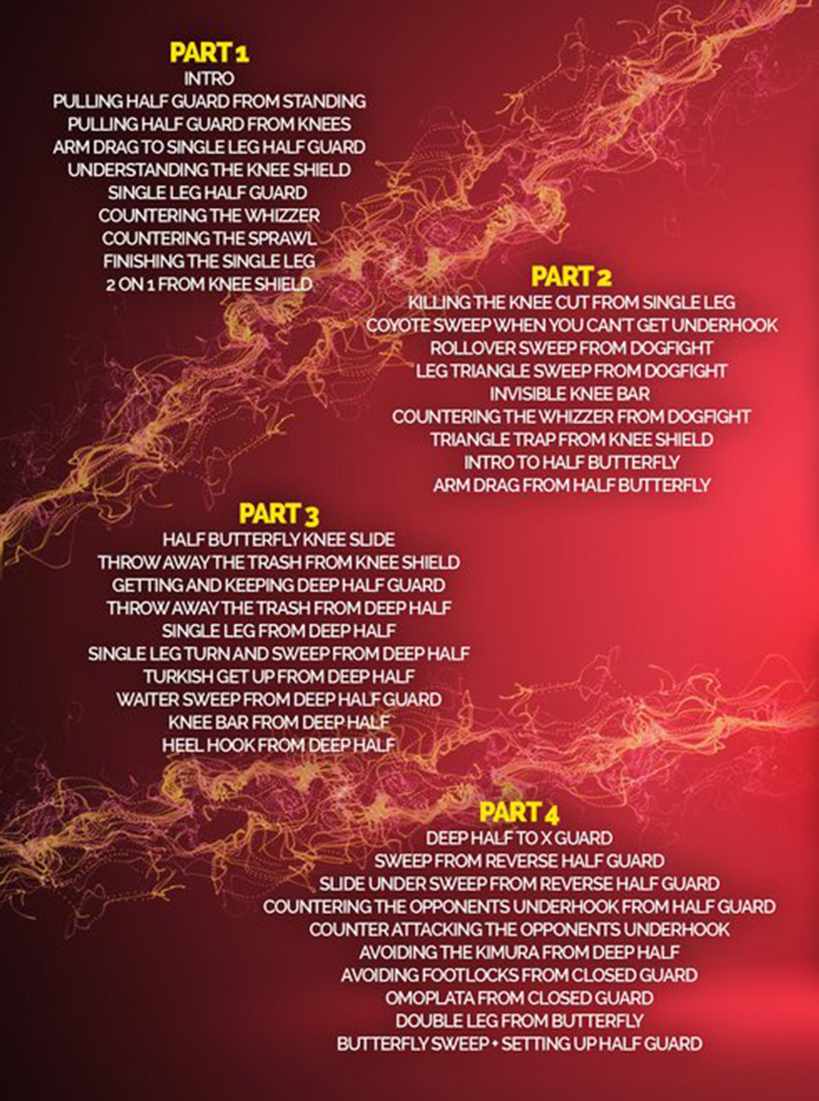 The No Gi Half Guard by Bernardo Faria image 2