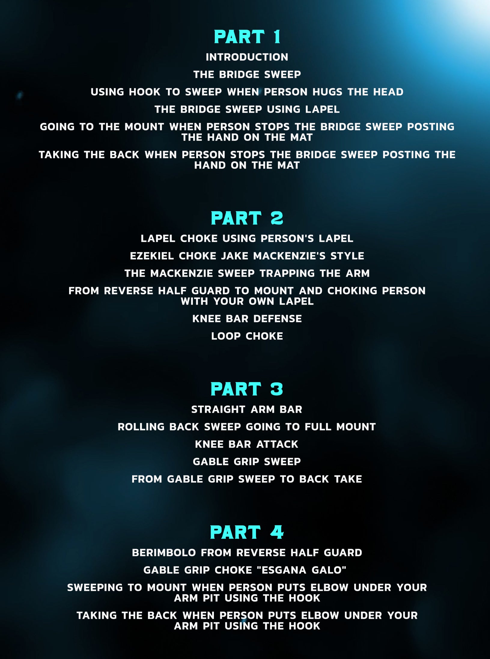 The Pitel Reverse Half Guard by Bernardo Pitel image 2